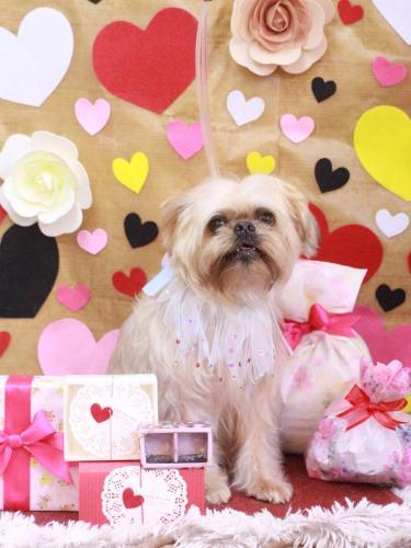 20230219ムーくん